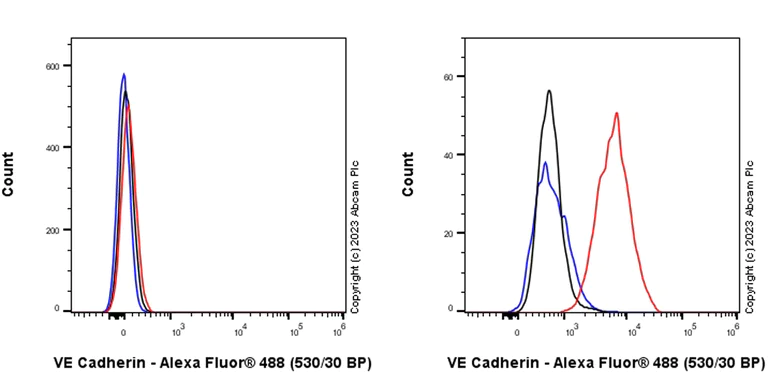 Flow Cytometry (Intracellular) - Anti-VE Cadherin antibody [EPR27436-55] (AB313632)
