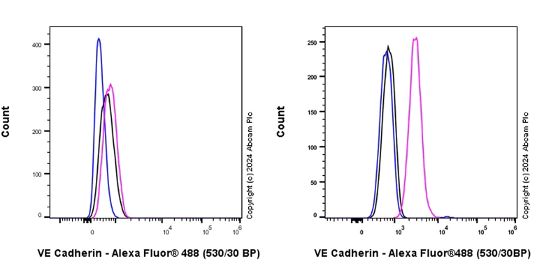 Flow Cytometry (Intracellular) - Anti-VE Cadherin antibody [RM2022] (AB318152)