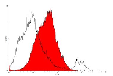 Flow Cytometry - Anti-VEGF Receptor 1 antibody [EWI] (AB238632), expandable thumbnail