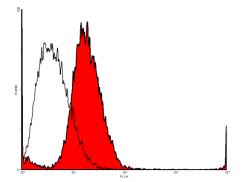Flow Cytometry - Anti-VEGF Receptor 2 antibody [#4 (20I6)] (AB39378)