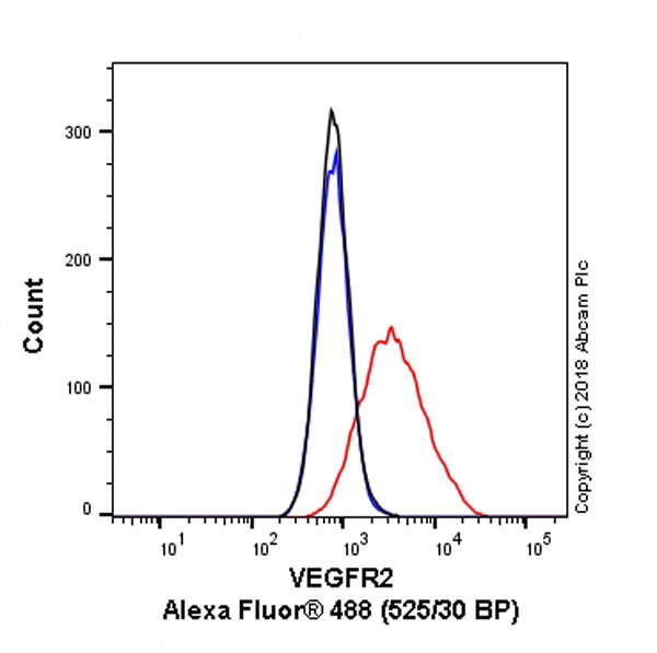 Anti-VEGF Receptor 2 antibody [EPR21231]