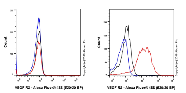 Flow Cytometry - Anti-VEGF Receptor 2 antibody [EPR21884-236] - BSA and Azide free (AB234106), expandable thumbnail