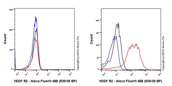 Flow Cytometry - Anti-VEGF Receptor 2 antibody [EPR21884-236] - BSA and Azide free (AB234106)