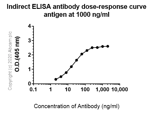 Indirect ELISA - Anti-VEGF Receptor 2 antibody [EPR21884-236] - BSA and Azide free (AB234106)