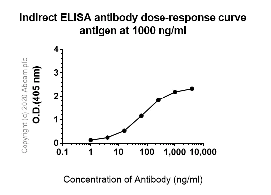 ELISA - Anti-VEGF Receptor 2 antibody [EPRER16Y] - BSA and Azide free (AB226160)