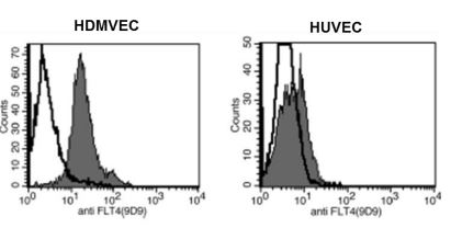 Flow Cytometry - Anti-VEGF Receptor 3 antibody [9D9] (AB273147), expandable thumbnail