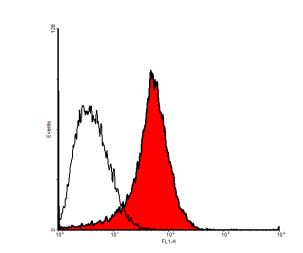 Flow Cytometry - Anti-VEGF Receptor 3 antibody [9D9] (AB273147), expandable thumbnail
