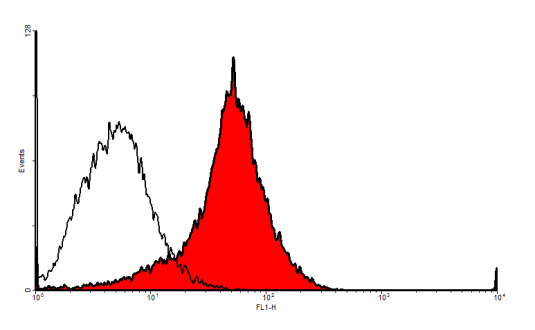 Flow Cytometry - Anti-VEGF Receptor 3 antibody (AB10284), expandable thumbnail