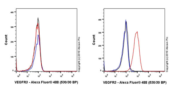 Flow Cytometry - Anti-VEGF Receptor 3 antibody [EPR22293-58] (AB243233)