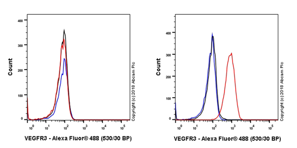 Flow Cytometry - Anti-VEGF Receptor 3 antibody [EPR22293-58] - BSA and Azide free (AB243558), expandable thumbnail