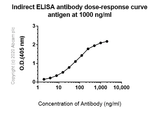 Indirect ELISA - Anti-VEGF Receptor 3 antibody [EPR22293-58] - BSA and Azide free (AB243558)