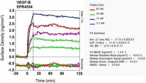 OI-RD Scanning - Anti-VEGFB antibody [EPR4554] - BSA and Azide free (AB248574), expandable thumbnail
