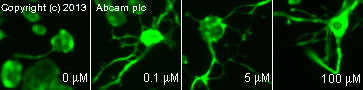 Venlafaxine hydrochloride, Serotonin-norepinephrine reuptake inhibitor