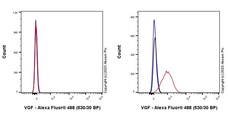 Flow Cytometry (Intracellular) - Anti-VGF antibody [EPR27029-60] (AB313783)