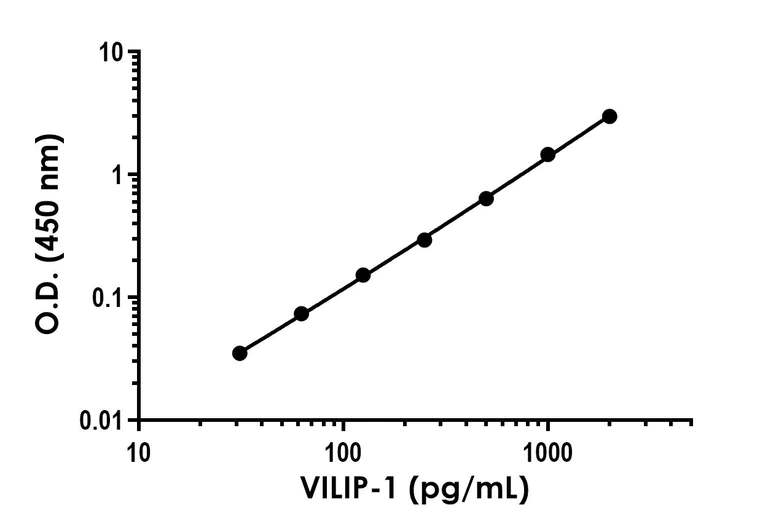 Sandwich ELISA - Anti-VILIP1 antibody [EPR23794-168] - BSA and Azide free (Detector) (AB275229)