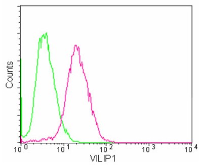 Flow Cytometry (Intracellular) - Anti-VILIP1 antibody [EPR9832] - BSA and Azide free (AB188105), expandable thumbnail
