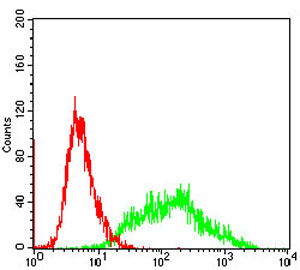 Flow Cytometry - Anti-Villin antibody [3E5G11] - N-terminal (AB201989), expandable thumbnail