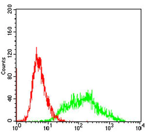 Flow Cytometry - Anti-Villin antibody [3E5G11] - N-terminal (AB201989)