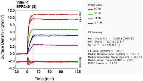 OI-RD Scanning - Anti-Villin antibody [EPR3491(3)] - BSA and Azide free (AB248530)