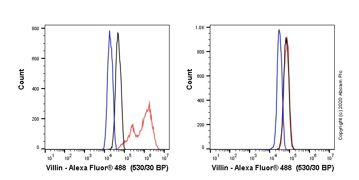 Flow Cytometry (Intracellular) - Anti-Villin antibody [SP145] (AB130751)