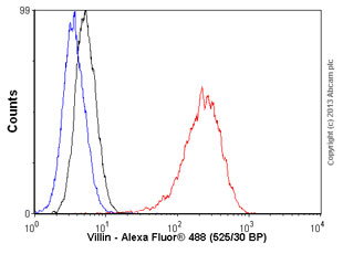 Flow Cytometry (Intracellular) - Anti-Villin antibody [SP145] (AB130751)