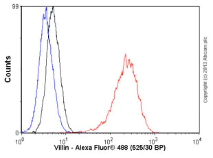 Flow Cytometry (Intracellular) - Anti-Villin antibody [SP145] - BSA and Azide free (AB245749)