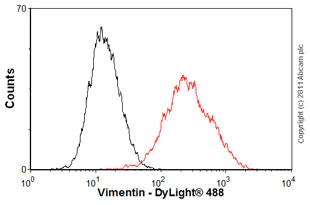 Flow Cytometry (Intracellular) - Anti-Vimentin antibody [EPR3776] - BSA and Azide free (AB193555)