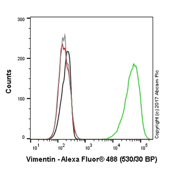 Flow Cytometry (Intracellular) - Anti-Vimentin antibody [EPR3776] - Cytoskeleton Marker (AB92547)
