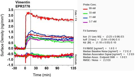 OI-RD Scanning - Anti-Vimentin antibody [EPR3776] - Cytoskeleton Marker (AB92547)