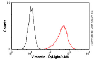 Flow Cytometry (Intracellular) - Anti-Vimentin antibody [RV202] - Cytoskeleton Marker (ab8978), expandable thumbnail