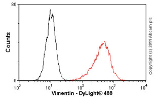 Flow Cytometry (Intracellular) - Anti-Vimentin antibody [RV202] - Cytoskeleton Marker (AB8978)