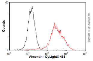 Flow Cytometry - Anti-Vimentin antibody [SP20] (AB16700), expandable thumbnail