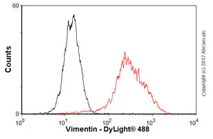 Flow Cytometry - Anti-Vimentin antibody [SP20] - BSA and Azide free (AB325972)