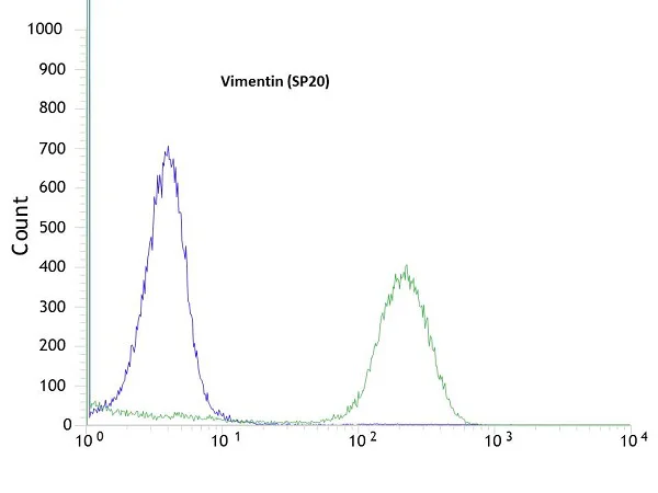 Flow Cytometry - Anti-Vimentin antibody [SP20] - BSA and Azide free (AB325972)