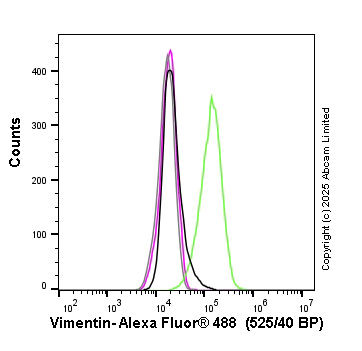 Flow Cytometry (Intracellular) - Anti-Vimentin antibody [V9] - BSA and Azide free (AB223871)