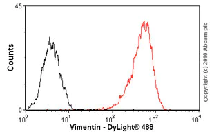 Flow Cytometry - Anti-Vimentin antibody [VI-10] (AB20346)