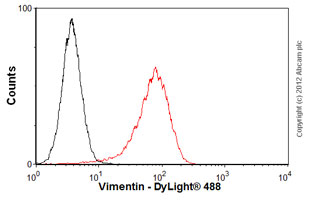 Flow Cytometry (Intracellular) - Anti-Vimentin antibody [VI-RE/1] (AB3974), expandable thumbnail