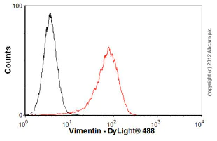 Flow Cytometry (Intracellular) - Anti-Vimentin antibody [VI-RE/1] (AB3974)
