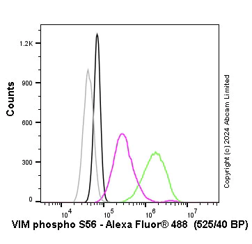 Flow Cytometry (Intracellular) - Anti-Vimentin (phospho S56) antibody [EPR21084] - BSA and Azide free (AB228854)