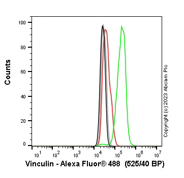 Flow Cytometry (Intracellular) - Anti-Vinculin antibody [EPR8185] - Loading Control (AB129002)