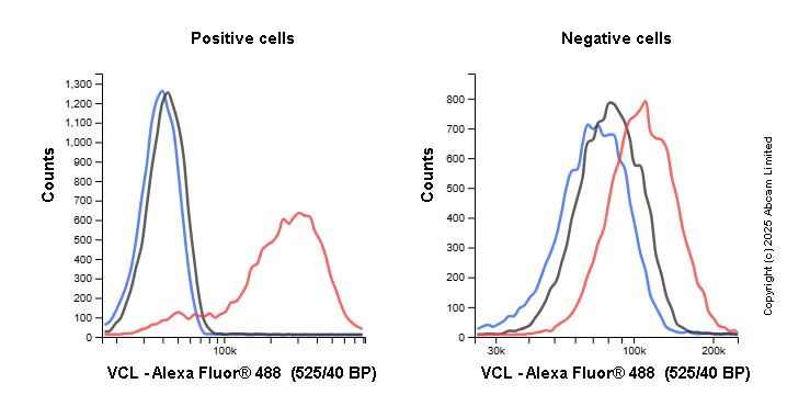 Flow Cytometry (Intracellular) - Anti-Vinculin antibody [EPR8185] - Loading Control (AB129002)