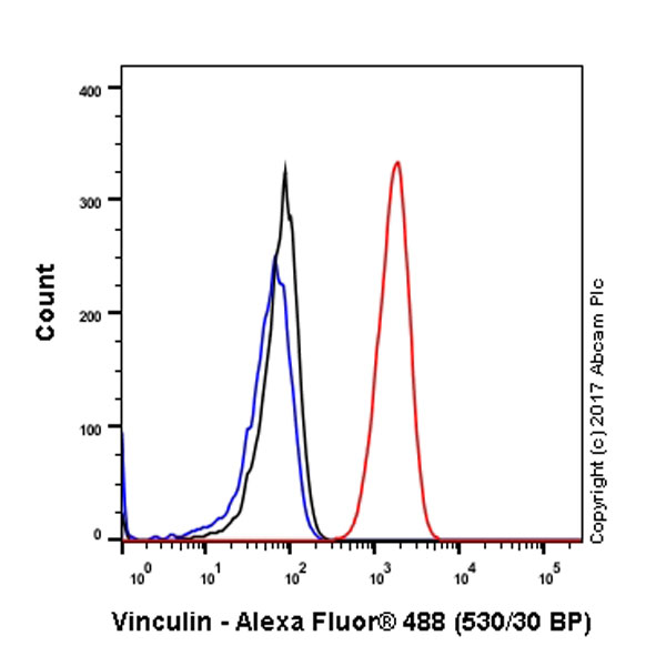 Flow Cytometry (Intracellular) - Anti-Vinculin antibody [EPR8185] - Loading Control (AB129002), expandable thumbnail