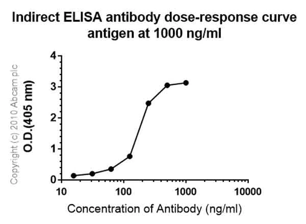 ELISA - Anti-VIP antibody [EPR4203] (AB124788)