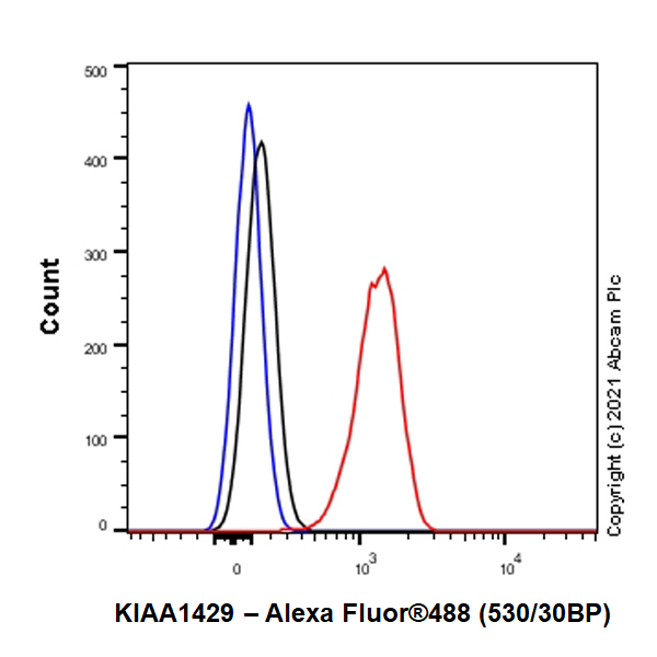 Flow Cytometry (Intracellular) - Anti-VIRMA/KIAA1429 antibody [EPR24279-23] (AB271136), expandable thumbnail