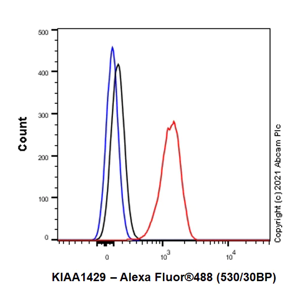 Flow Cytometry (Intracellular) - Anti-VIRMA/KIAA1429 antibody [EPR24279-23] - BSA and Azide free (AB289728)