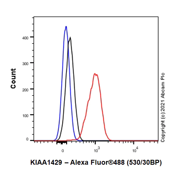 Flow Cytometry (Intracellular) - Anti-VIRMA/KIAA1429 antibody [EPR24279-23] - BSA and Azide free (AB289728)