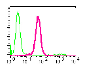 Flow Cytometry (Intracellular) - Anti-Vitamin D Binding protein antibody [EPR2922Y] (AB76537), expandable thumbnail