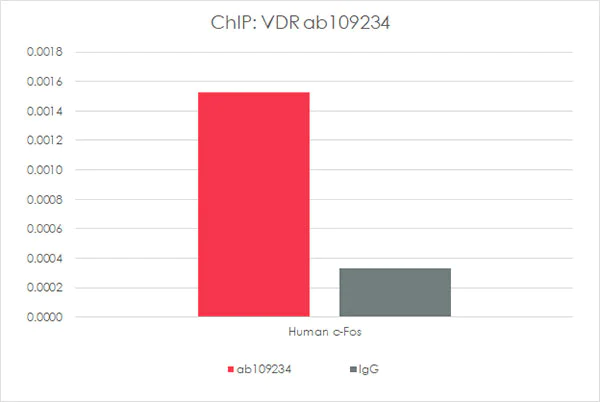 ChIP - Anti-Vitamin D Receptor antibody [EPR4552] - ChIP Grade (AB109234)