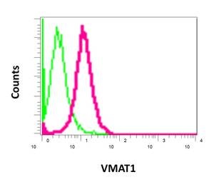 Flow Cytometry (Intracellular) - Anti-VMAT1 antibody [EPR6476] - BSA and Azide free (AB249447), expandable thumbnail