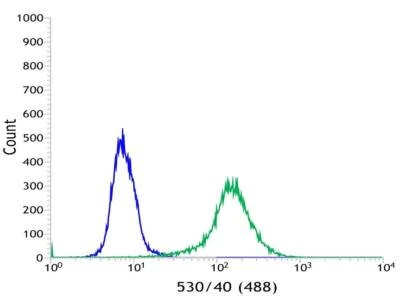Flow Cytometry (Intracellular) - Anti-VPAC1 antibody [SP234] - BSA and Azide free (AB245743)